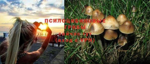 трава Алзамай